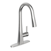 Keeney Mfg Single Handle Pull-Down Kitchen Faucet, Stainless Steel EVO78CSS